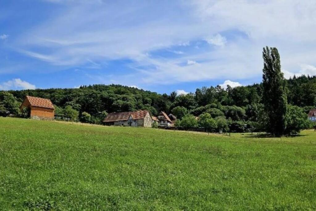 Corps De Ferme Traditionnel Lembach Extérieur photo